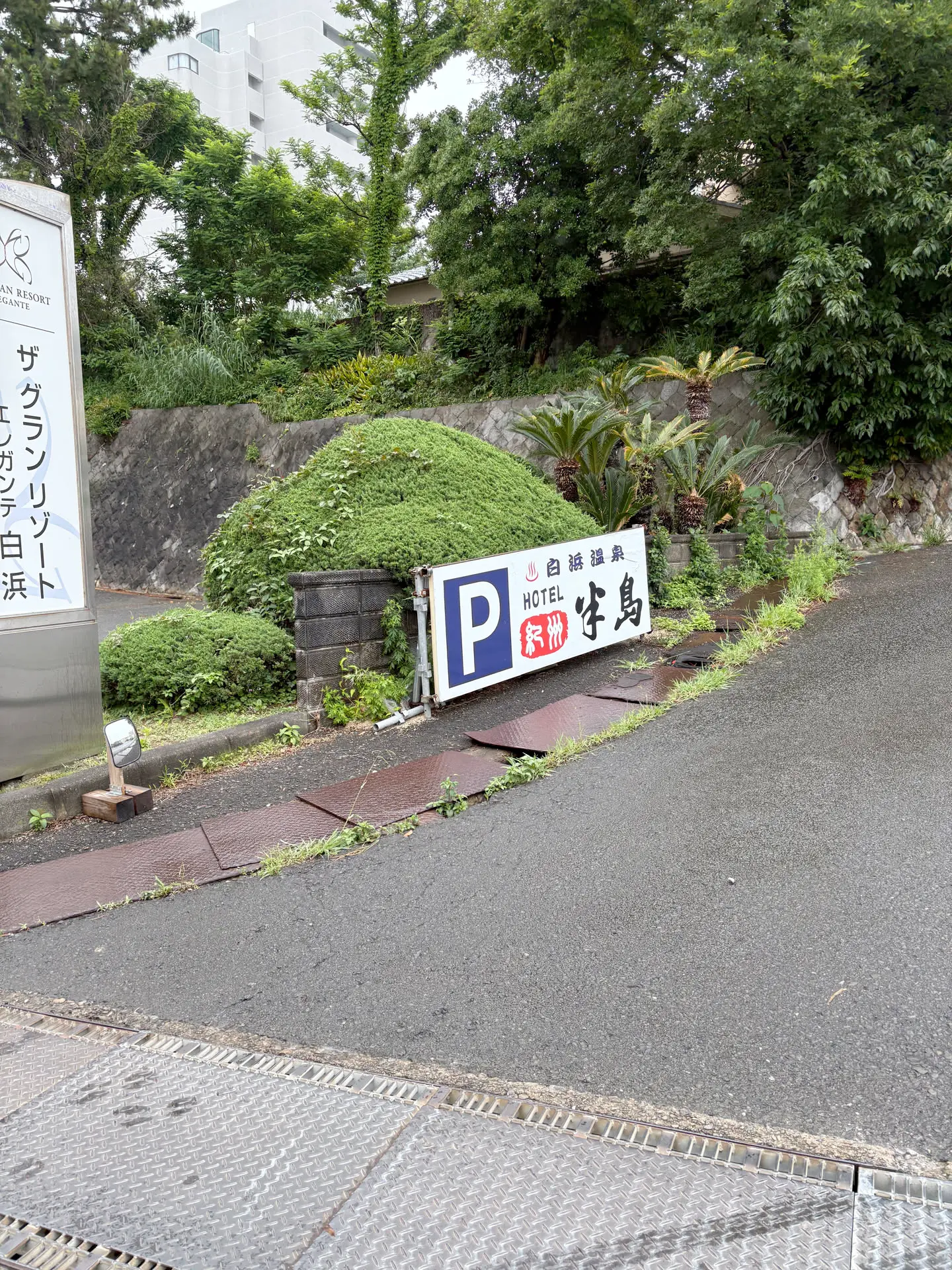 13.webp