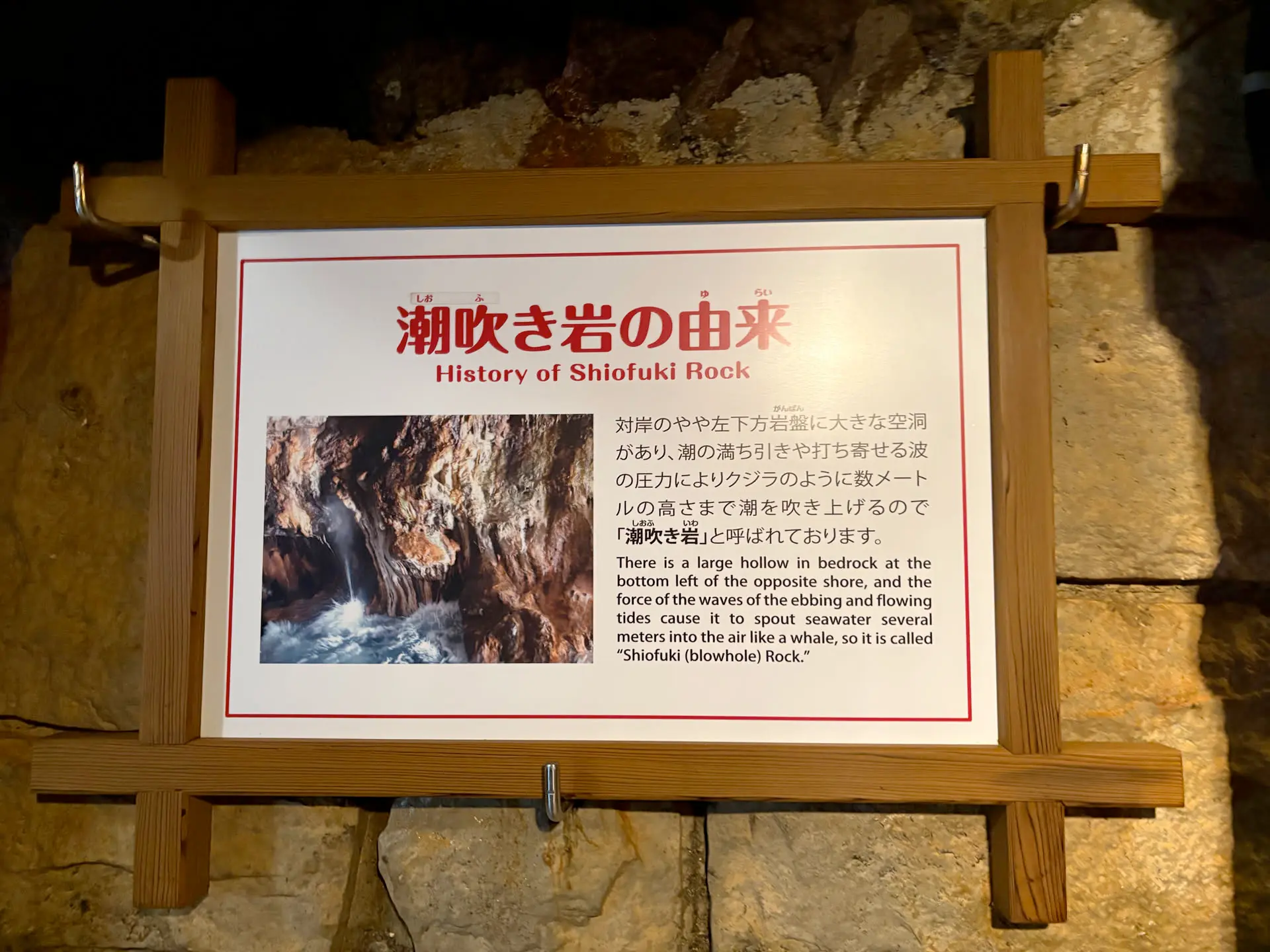16.webp