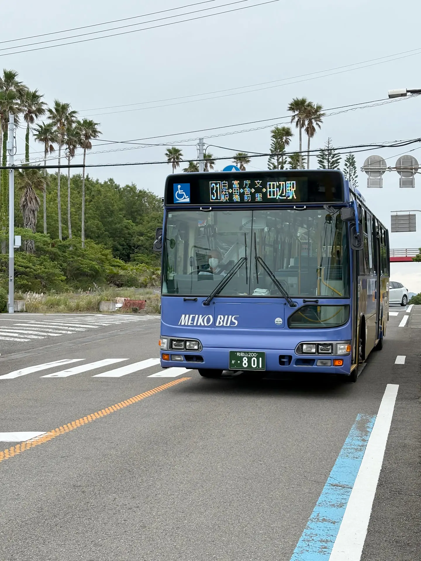 19.webp