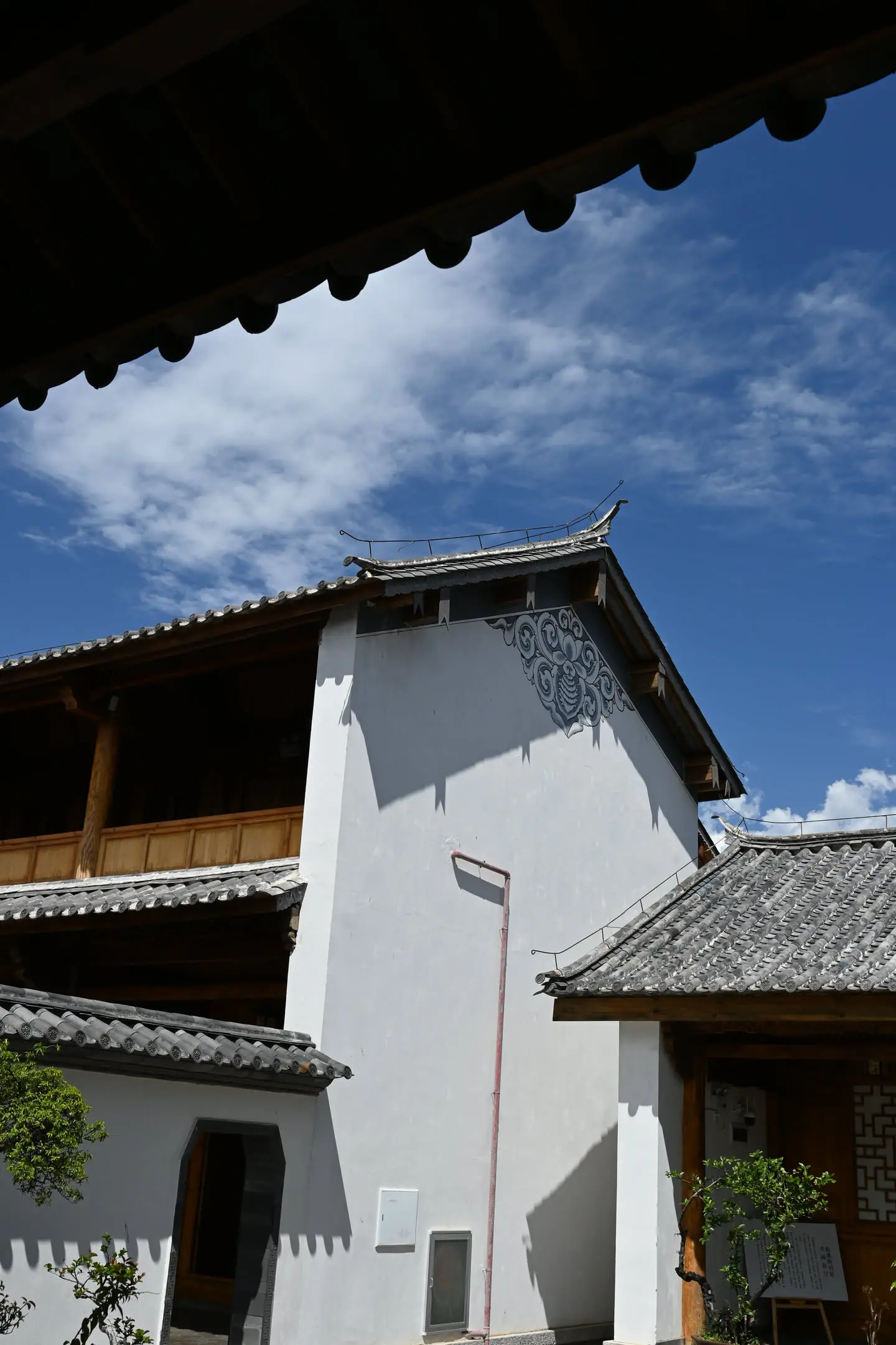 18.webp