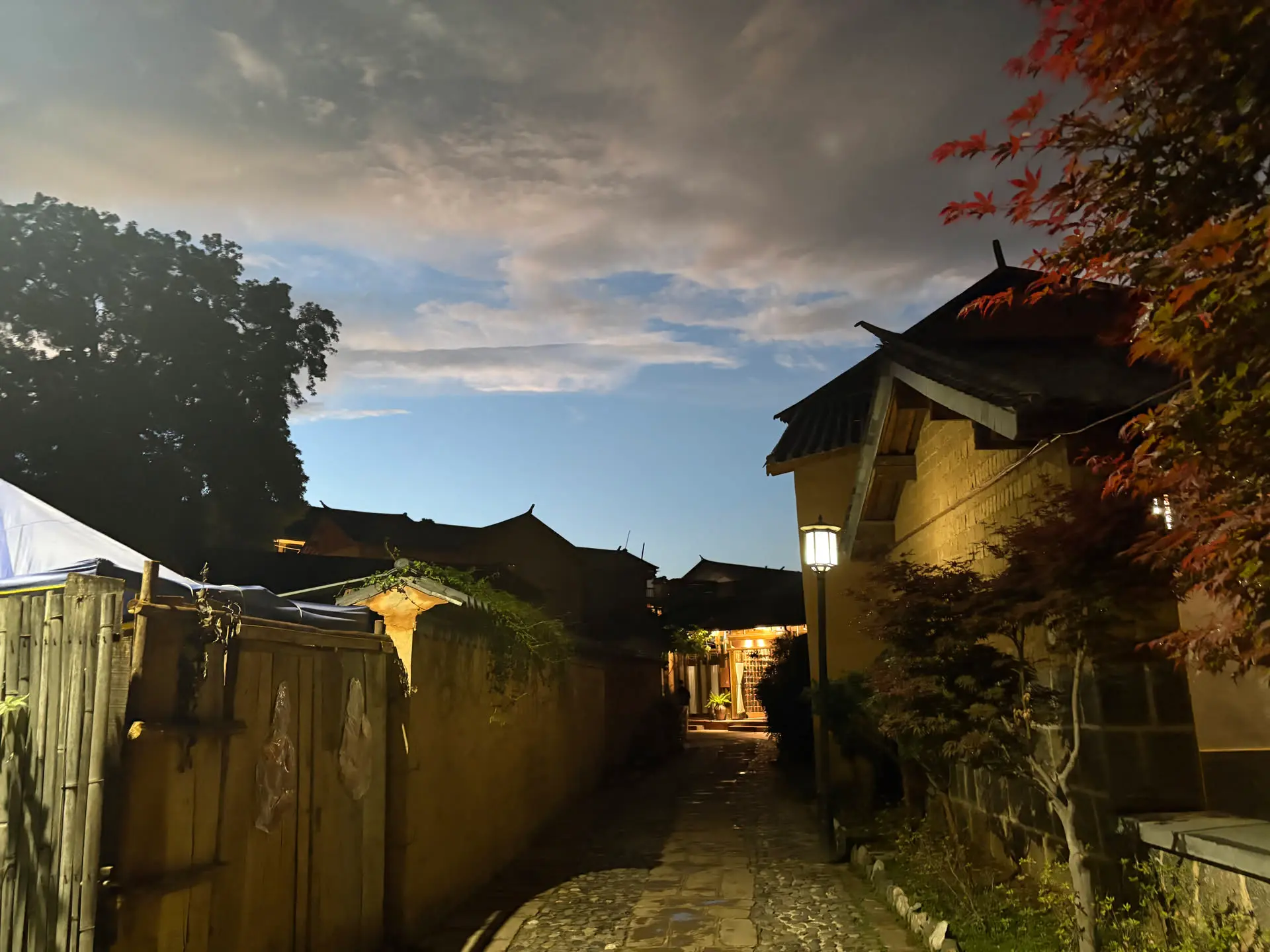 29.webp