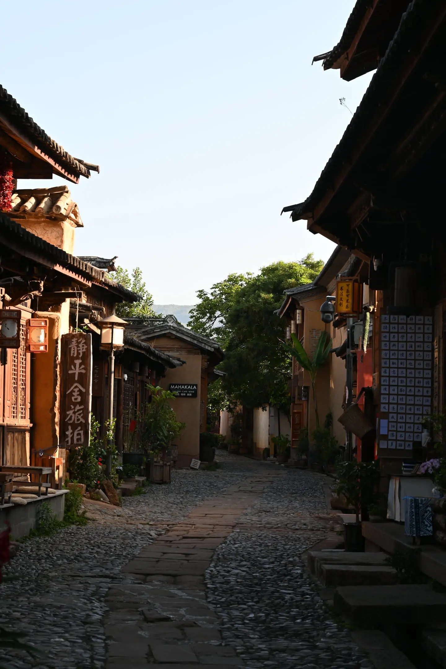 03.webp