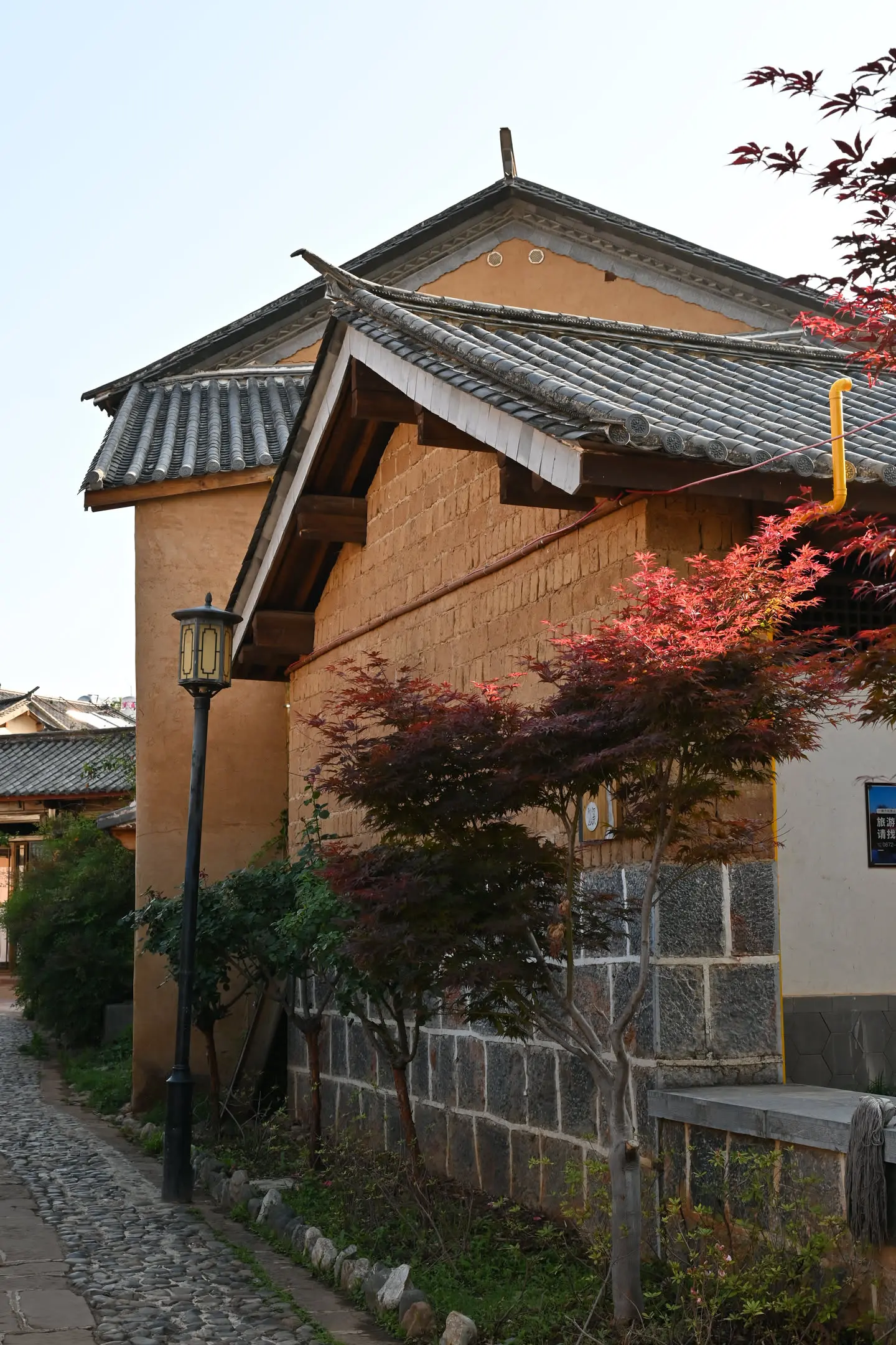 05.webp