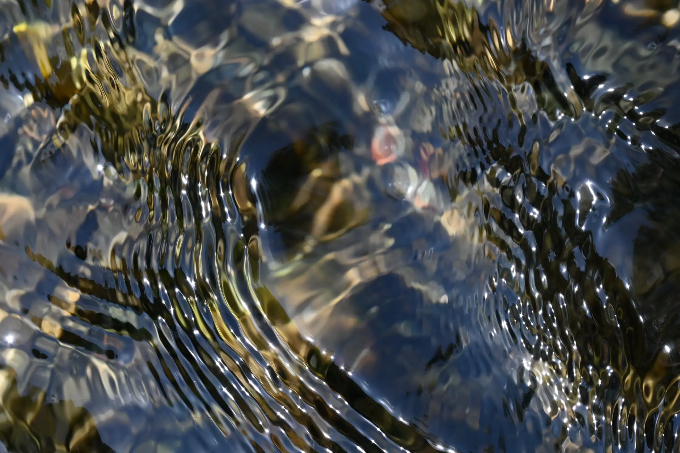 41.webp