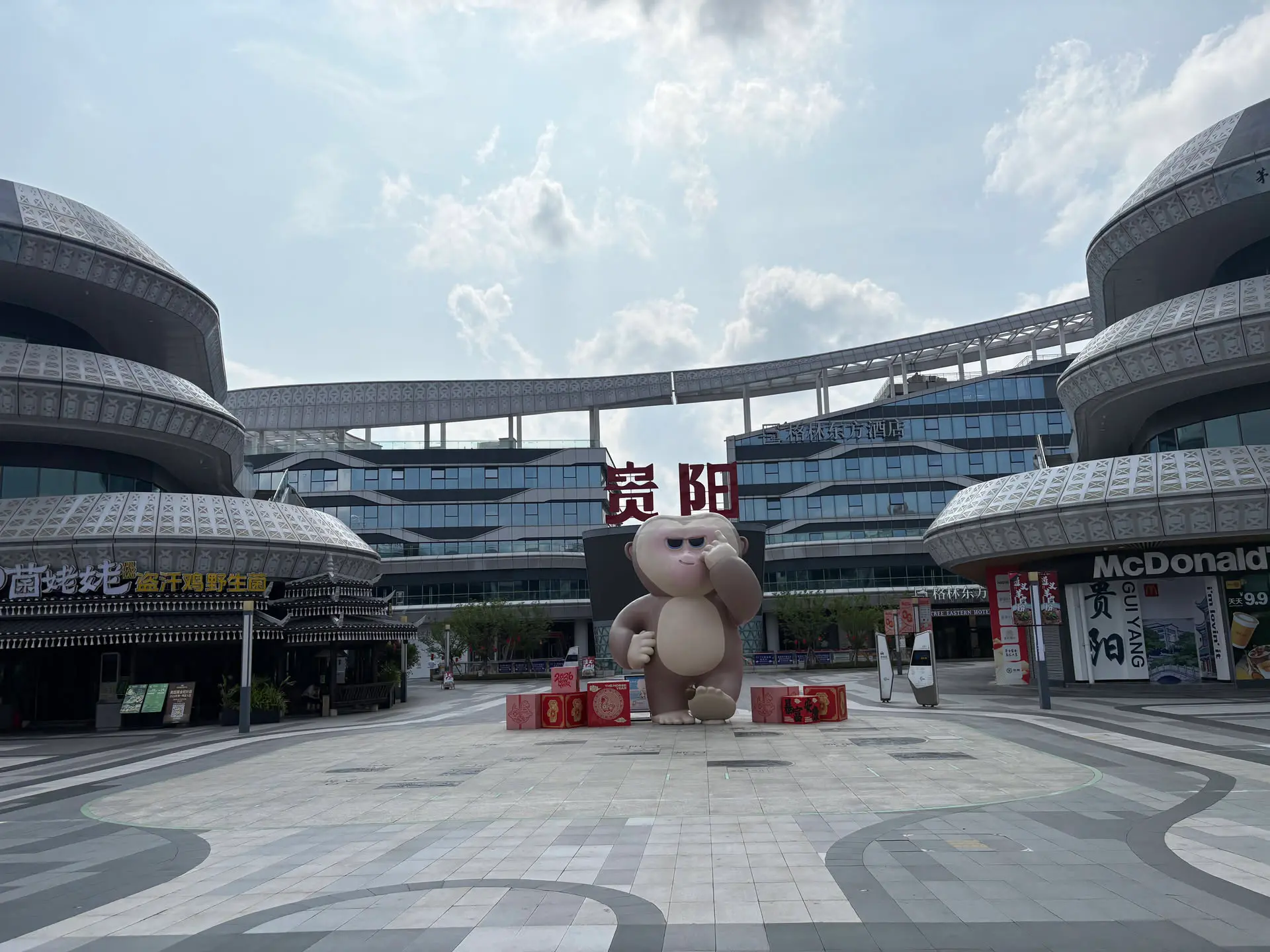 23.webp