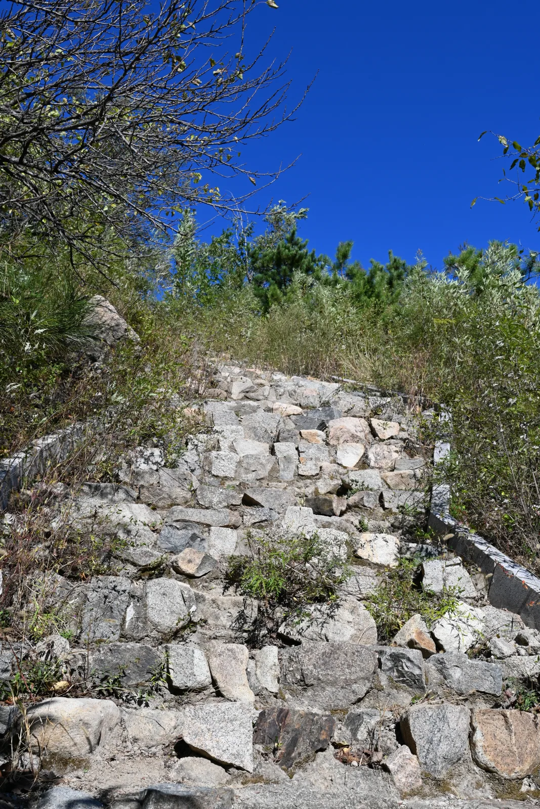 延寿寺后山登山途中