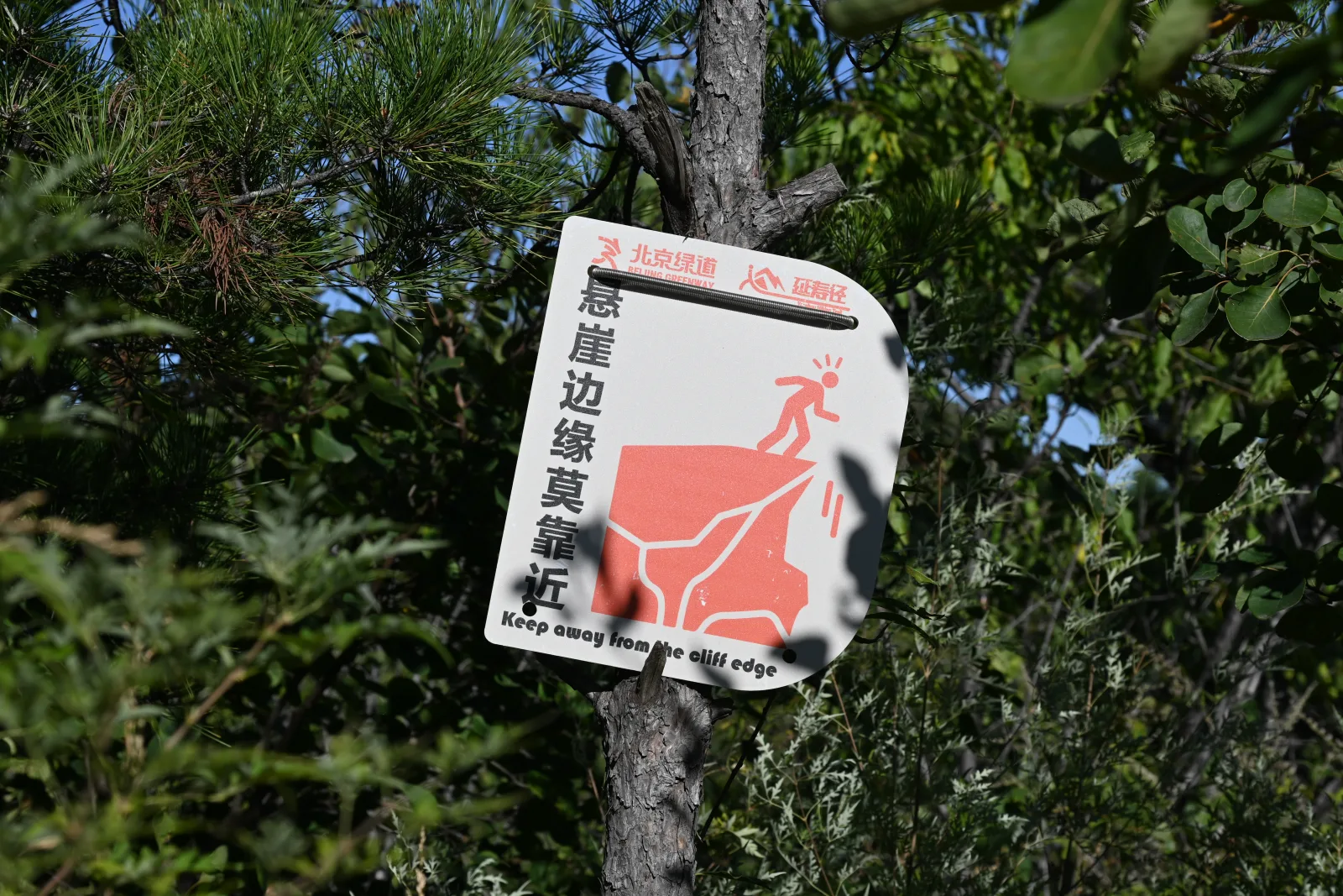 延寿寺后山登山风景