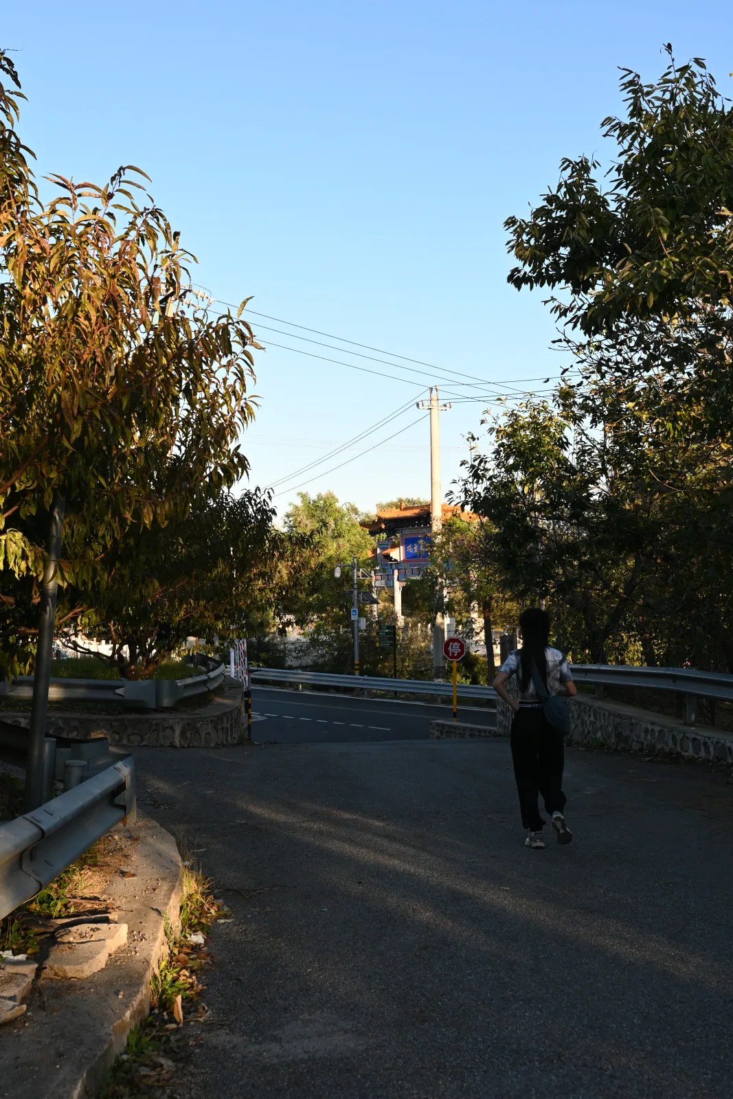 延寿寺徒步返程风景